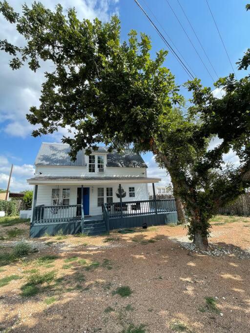 The Paddock House At Blanco Texas Villa Dış mekan fotoğraf